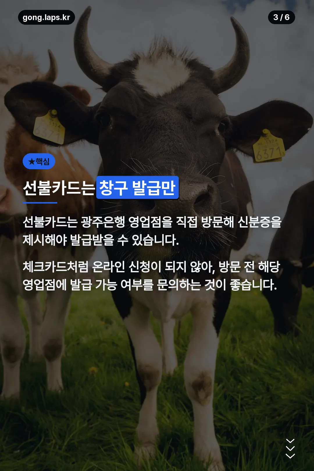 창구 발급 안내