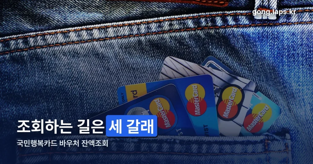 국민행복카드 바우처 잔액조회 정리 썸네일
