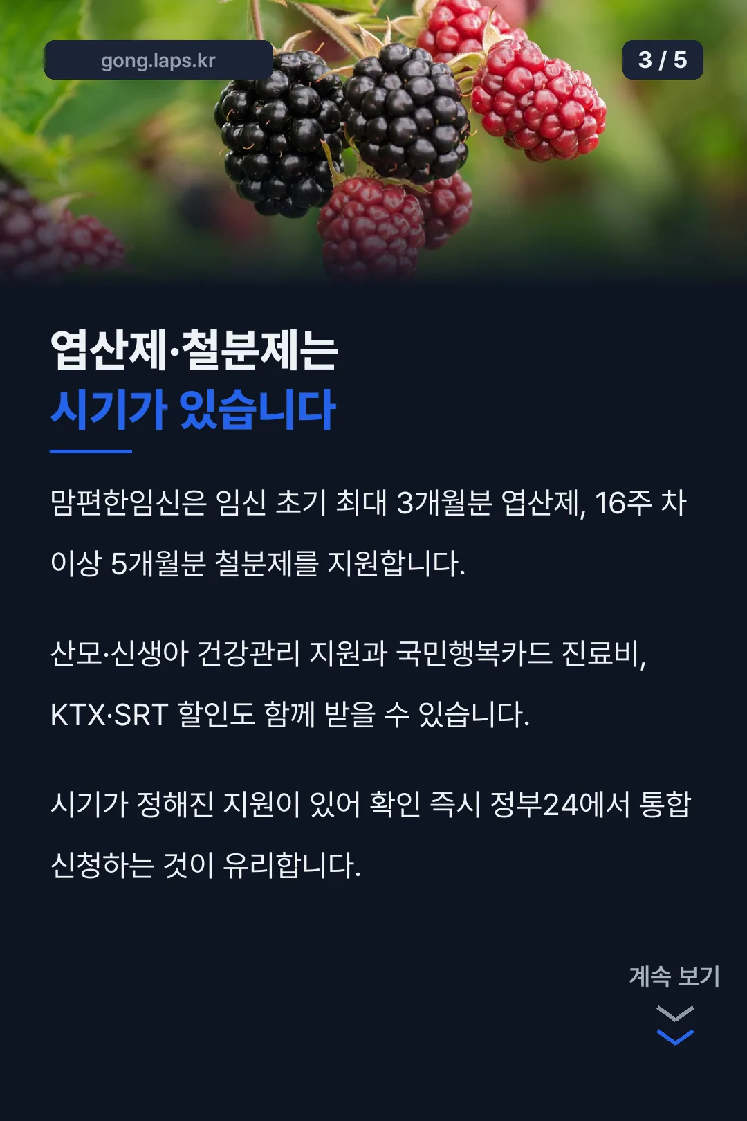 엽산제·철분제는 시기가 있다