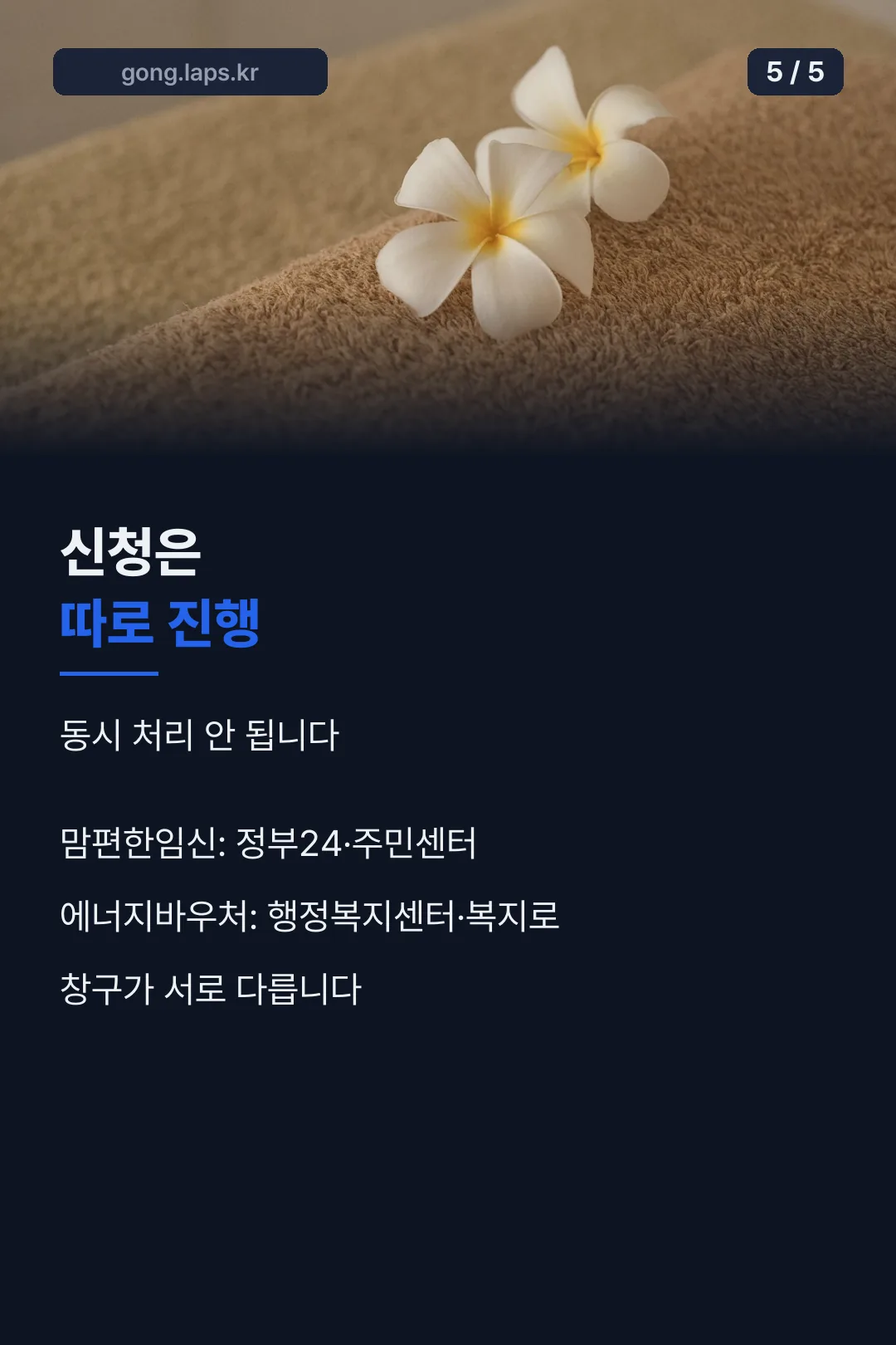 신청은 따로 진행